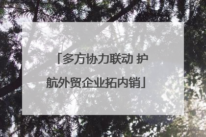 多方协力联动 护航外贸企业拓内销