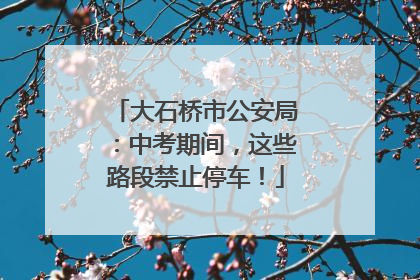 大石桥市公安局：中考期间，这些路段禁止停车！