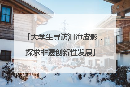 大学生寻访沮漳皮影，探求非遗创新性发展