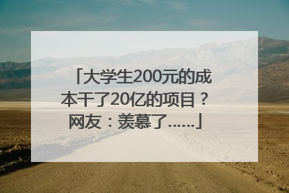 大学生200元的成本干了20亿的项目？网友：羡慕了……