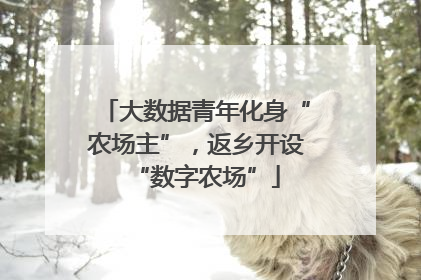大数据青年化身“农场主”，返乡开设“数字农场”