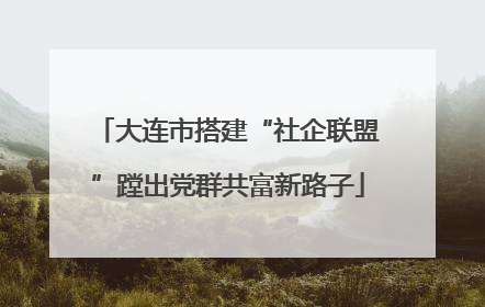大连市搭建“社企联盟”蹚出党群共富新路子