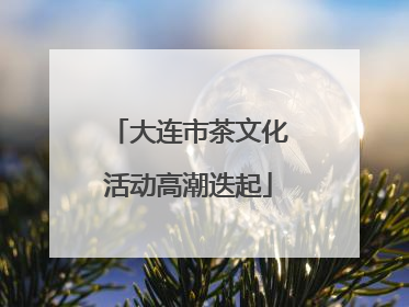 大连市茶文化活动高潮迭起