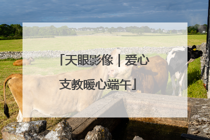 天眼影像｜爱心支教暖心端午