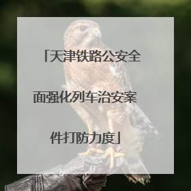 天津铁路公安全面强化列车治安案件打防力度