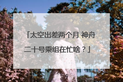 太空出差两个月 神舟二十号乘组在忙啥？