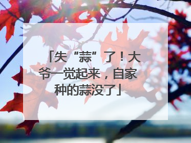 失“蒜”了！大爷一觉起来，自家种的蒜没了