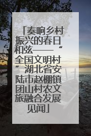 奏响乡村振兴的春日和弦——“全国文明村”湖北省安陆市赵棚镇团山村农文旅融合发展见闻