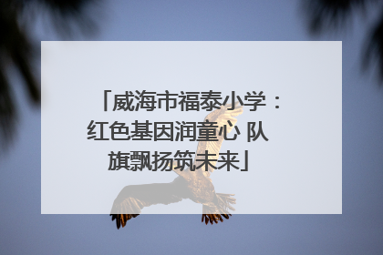 威海市福泰小学：红色基因润童心 队旗飘扬筑未来