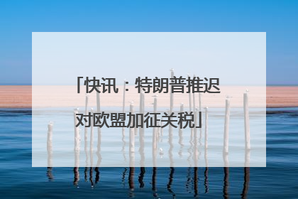 快讯：特朗普推迟对欧盟加征关税