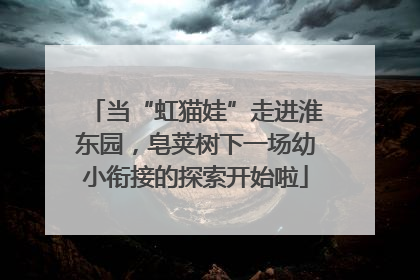 当“虹猫娃”走进淮东园，皂荚树下一场幼小衔接的探索开始啦