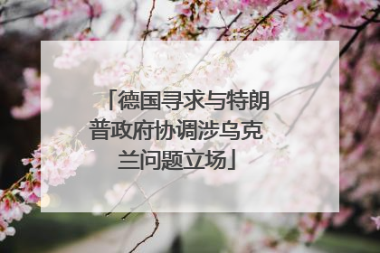德国寻求与特朗普政府协调涉乌克兰问题立场