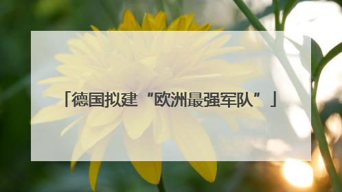 德国拟建“欧洲最强军队”