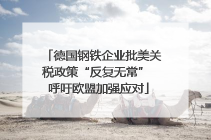 德国钢铁企业批美关税政策“反复无常” 呼吁欧盟加强应对