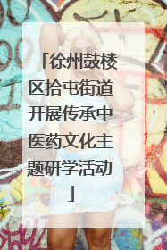 徐州鼓楼区拾屯街道开展传承中医药文化主题研学活动