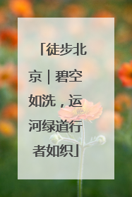 徒步北京｜碧空如洗，运河绿道行者如织