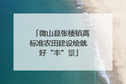 微山县张楼镇高标准农田建设绘就好“丰”景