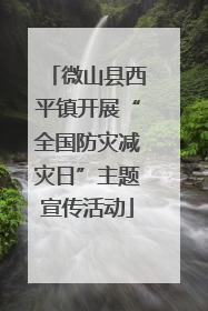 微山县西平镇开展“全国防灾减灾日”主题宣传活动