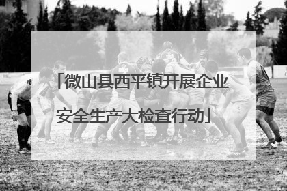 微山县西平镇开展企业安全生产大检查行动