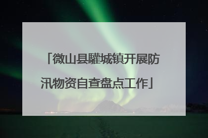 微山县驩城镇开展防汛物资自查盘点工作