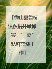 微山县鲁桥镇多措并举抓实 “三夏” 秸秆禁烧工作