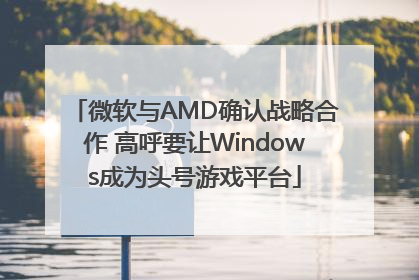微软与AMD确认战略合作 高呼要让Windows成为头号游戏平台