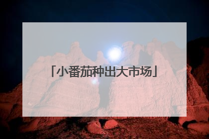 小番茄种出大市场