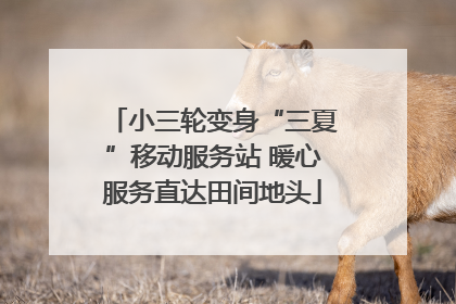 小三轮变身“三夏”移动服务站 暖心服务直达田间地头