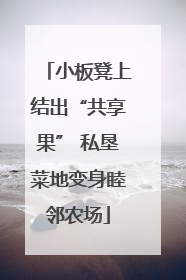 小板凳上结出“共享果” 私垦菜地变身睦邻农场