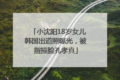 小沈阳18岁女儿韩国出道照曝光，被指撞脸孔孝真