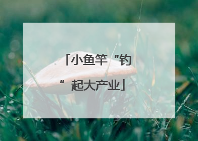 小鱼竿“钓”起大产业