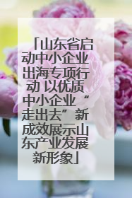 山东省启动中小企业出海专项行动 以优质中小企业“走出去”新成效展示山东产业发展新形象