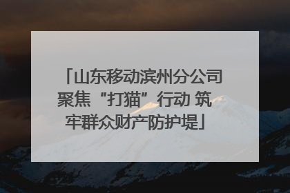 山东移动滨州分公司聚焦“打猫”行动 筑牢群众财产防护堤