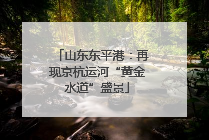 山东东平港：再现京杭运河“黄金水道”盛景