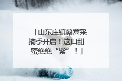 山东庄镇桑葚采摘季开启！这口甜蜜绝绝“紫”！