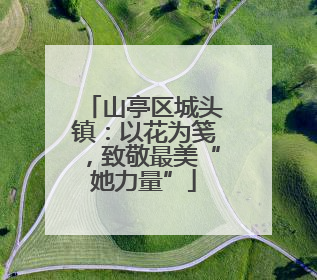 山亭区城头镇：以花为笺，致敬最美“她力量”