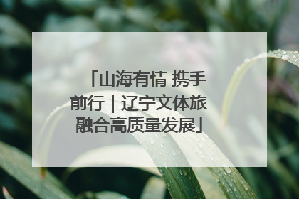 山海有情 携手前行｜辽宁文体旅融合高质量发展