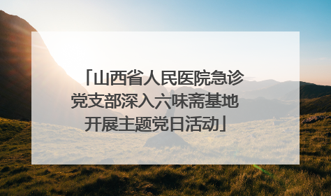 山西省人民医院急诊党支部深入六味斋基地开展主题党日活动