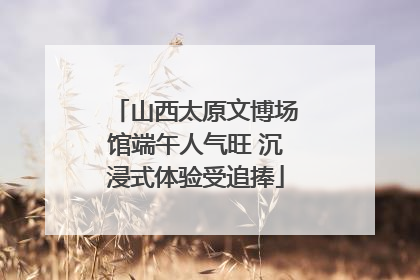 山西太原文博场馆端午人气旺 沉浸式体验受追捧