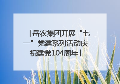 岳农集团开展“七一”党建系列活动庆祝建党104周年