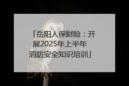岳阳人保财险：开展2025年上半年消防安全知识培训