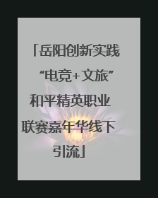 岳阳创新实践“电竞+文旅” 和平精英职业联赛嘉年华线下引流