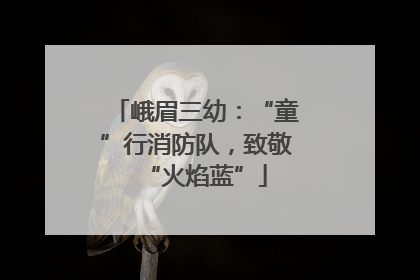 峨眉三幼：“童”行消防队，致敬“火焰蓝”