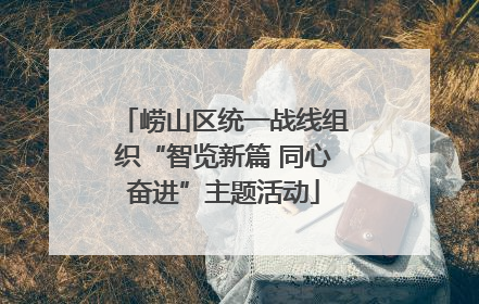崂山区统一战线组织“智览新篇 同心奋进”主题活动