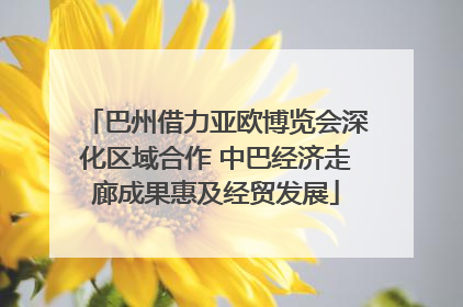 巴州借力亚欧博览会深化区域合作 中巴经济走廊成果惠及经贸发展