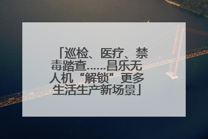 巡检、医疗、禁毒踏查……昌乐无人机“解锁”更多生活生产新场景