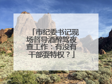 市纪委书记现场督导酒醉驾夜查工作：有没有干部耍特权？