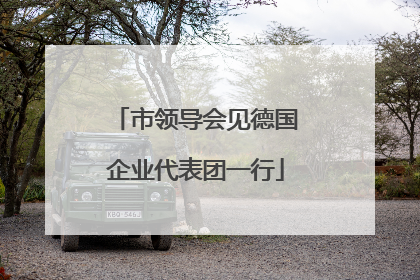 市领导会见德国企业代表团一行