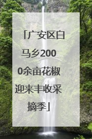 广安区白马乡2000余亩花椒迎来丰收采摘季