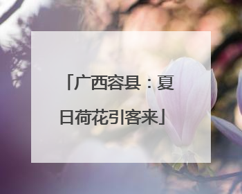 广西容县：夏日荷花引客来